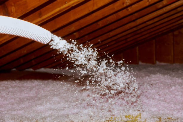 Best Crawl Space Insulation  in Kenton, TN
