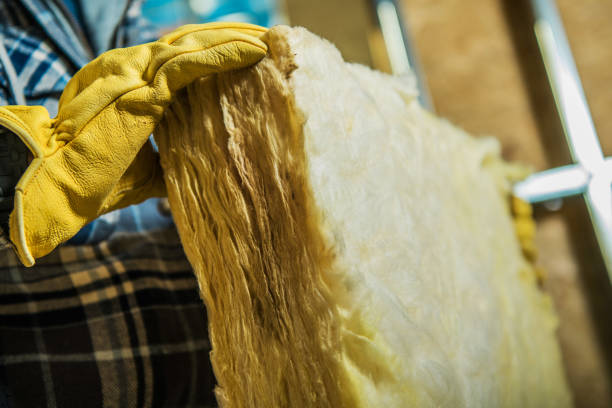 Best Insulation Repair Services  in Kenton, TN
