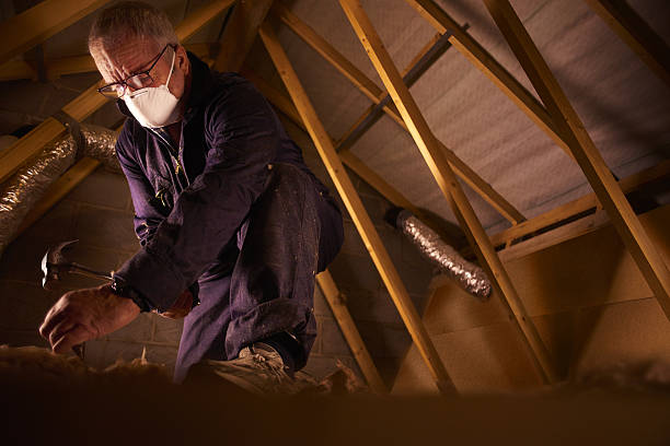 Best Insulation Removal  in Kenton, TN